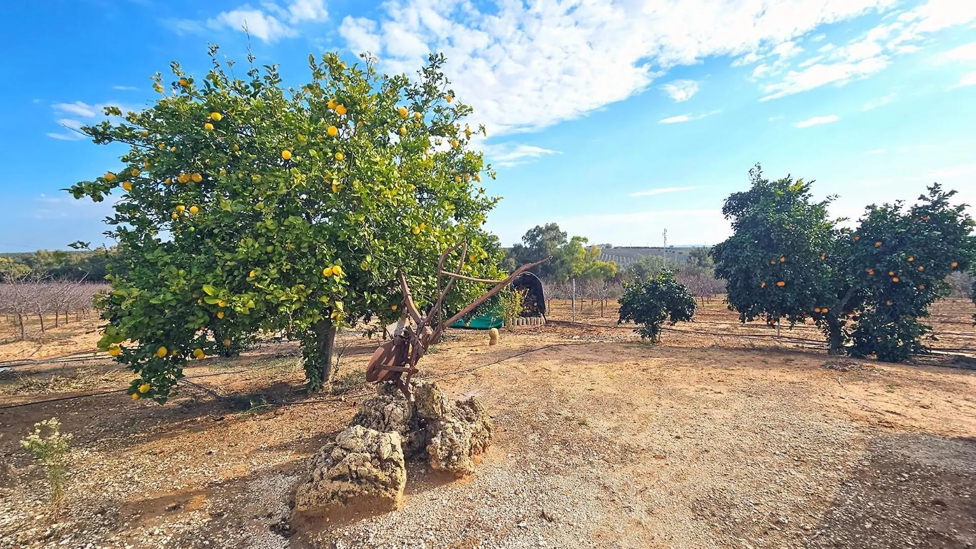 Holiday home Casa Rural Limones La Puebla de Cazalla